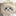토닥이