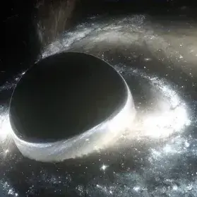 Profile image of Omegaverse World