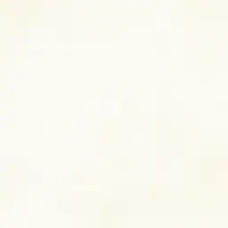 Profile image of 。