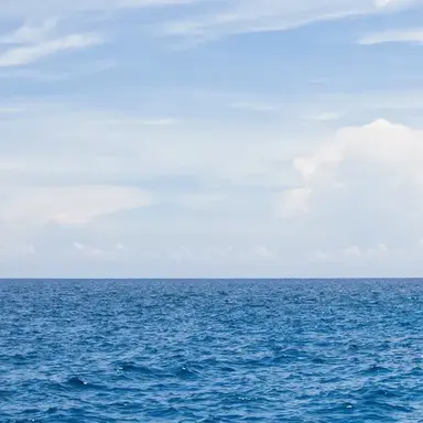 Profile image of 希望の海