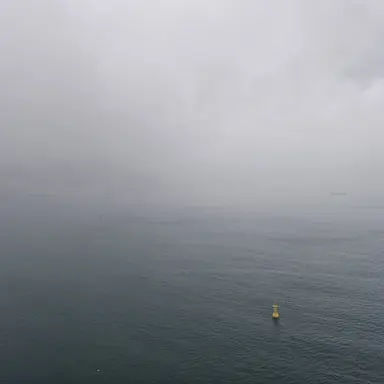 Profile image of 霧の海