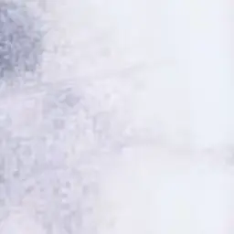 Profile image of 緋八マナ
