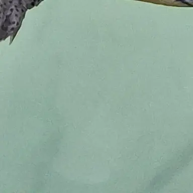 Profile image of 주인장