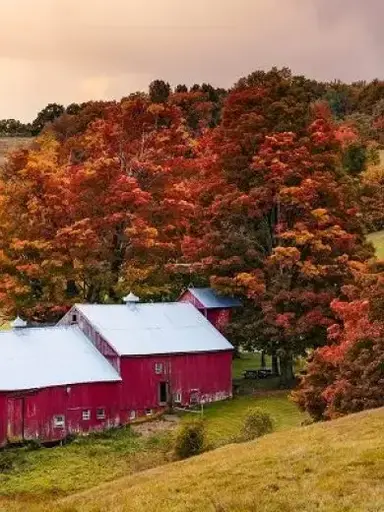 Profile image of Nudist Rural Area