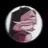 사빈