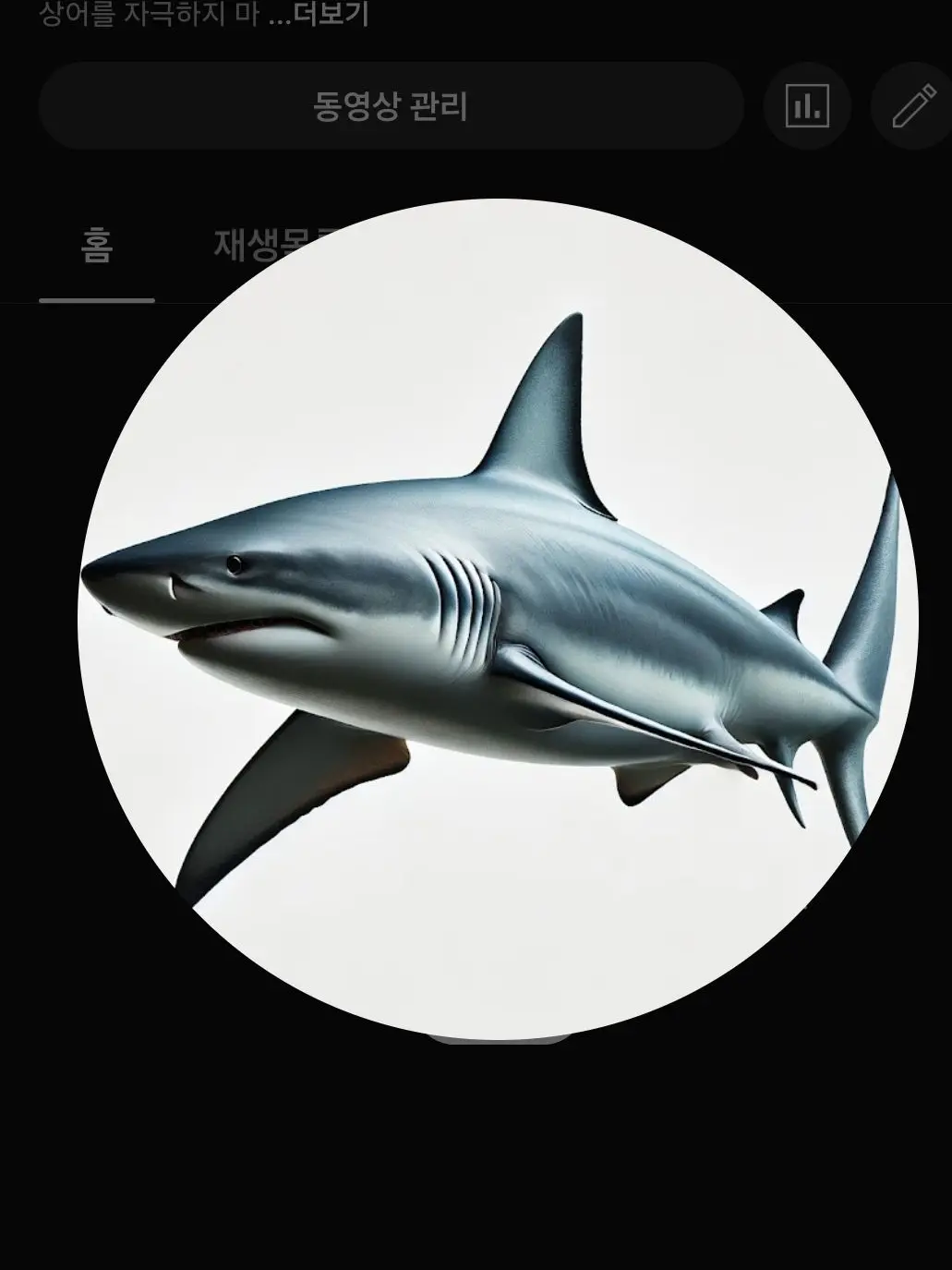 Ishark의 졸업 없는 마법학교