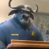 Profile image of Chief Bogo