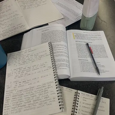 Profile image of 연시은