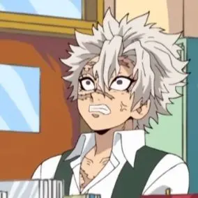 Profile image of 시나즈가와 사네미