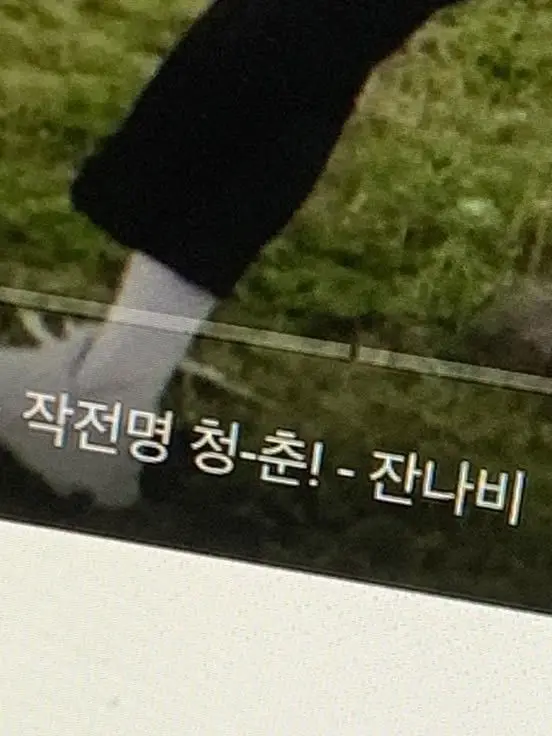 2.2.4의 1996년 여름.