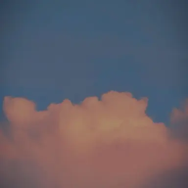 Profile image of 임아윤