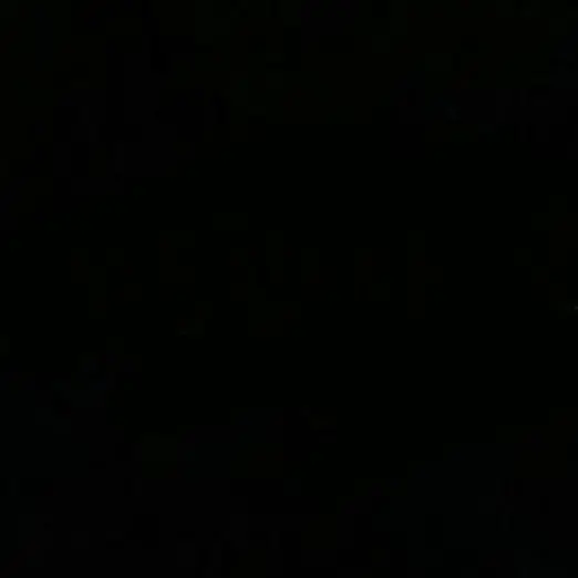2000.6.6의 ­