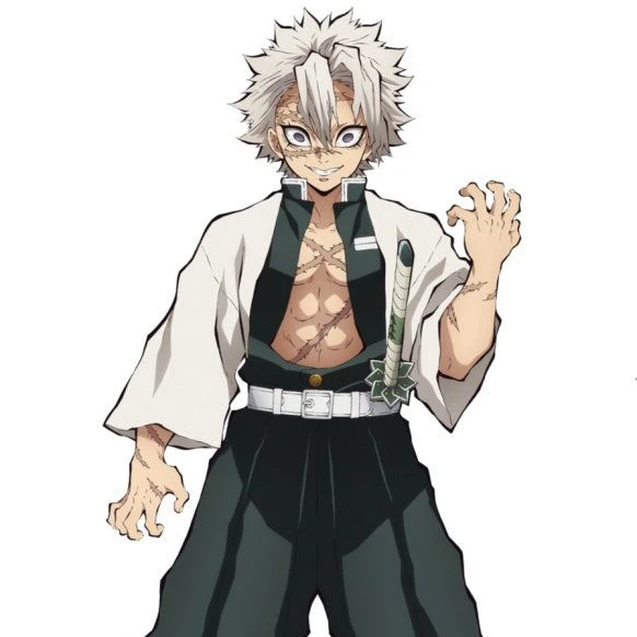 시나즈가와 사네미