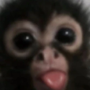 미니언즈1