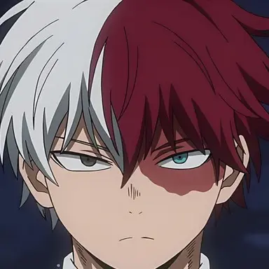 Profile image of Todoroki