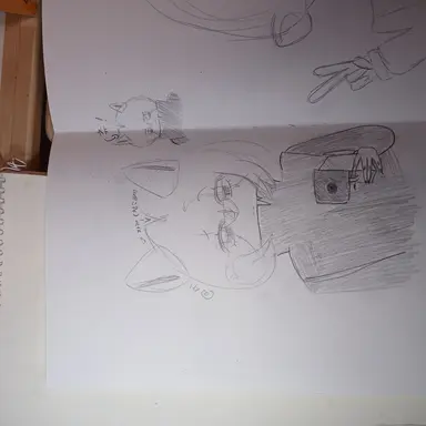 Profile image of 쵸