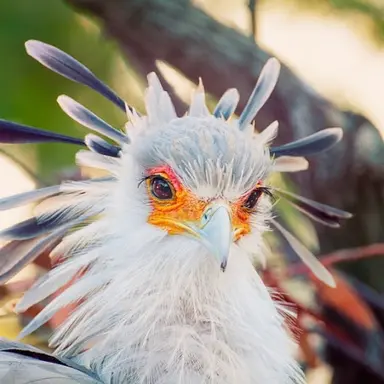 Profile image of 수리