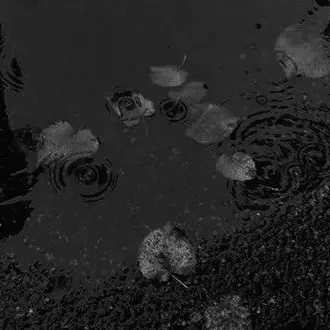 Profile image of 아리유키 사토시