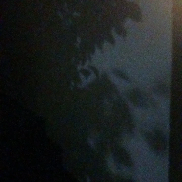 최용혁