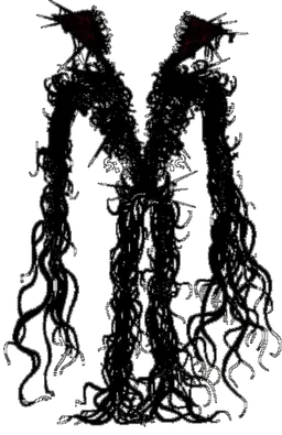 Profile image of Integrity