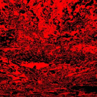 Profile image of 스펙터