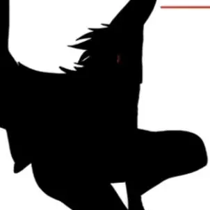 Profile image of 닥터