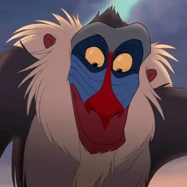 Profile image of 라피키