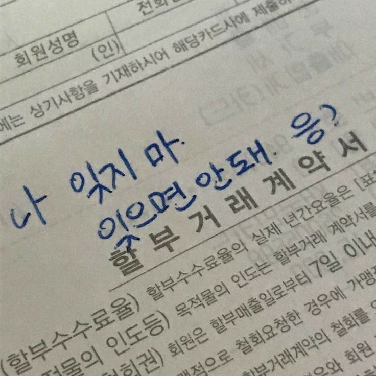 서 지현 대표 이미지