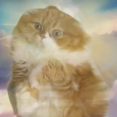 Profile image of ゼウスもふこ