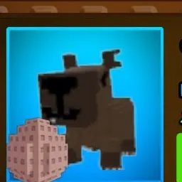Profile image of 알파 카피바라