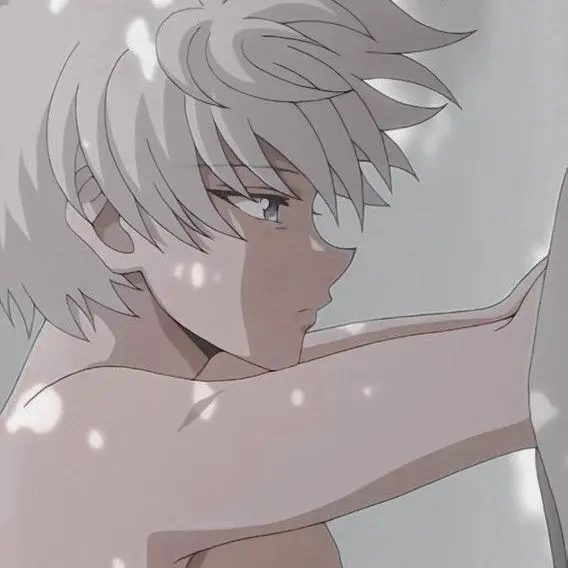 PeachyFort7455의 헌터x헌터 조르딕 가문 세계관!