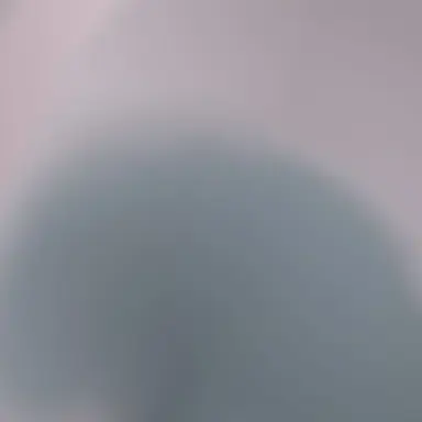 Profile image of ブリ子