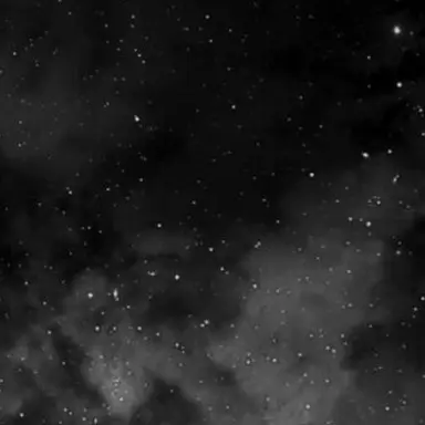 Profile image of 유하림