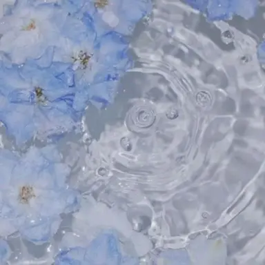 Profile image of 박잠뜰