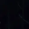 Profile image of 김영지