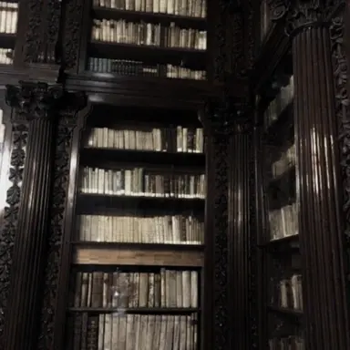 Profile image of 카르엘