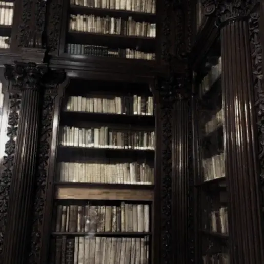 tkaua의 당신는 아마 평생 모르겠지