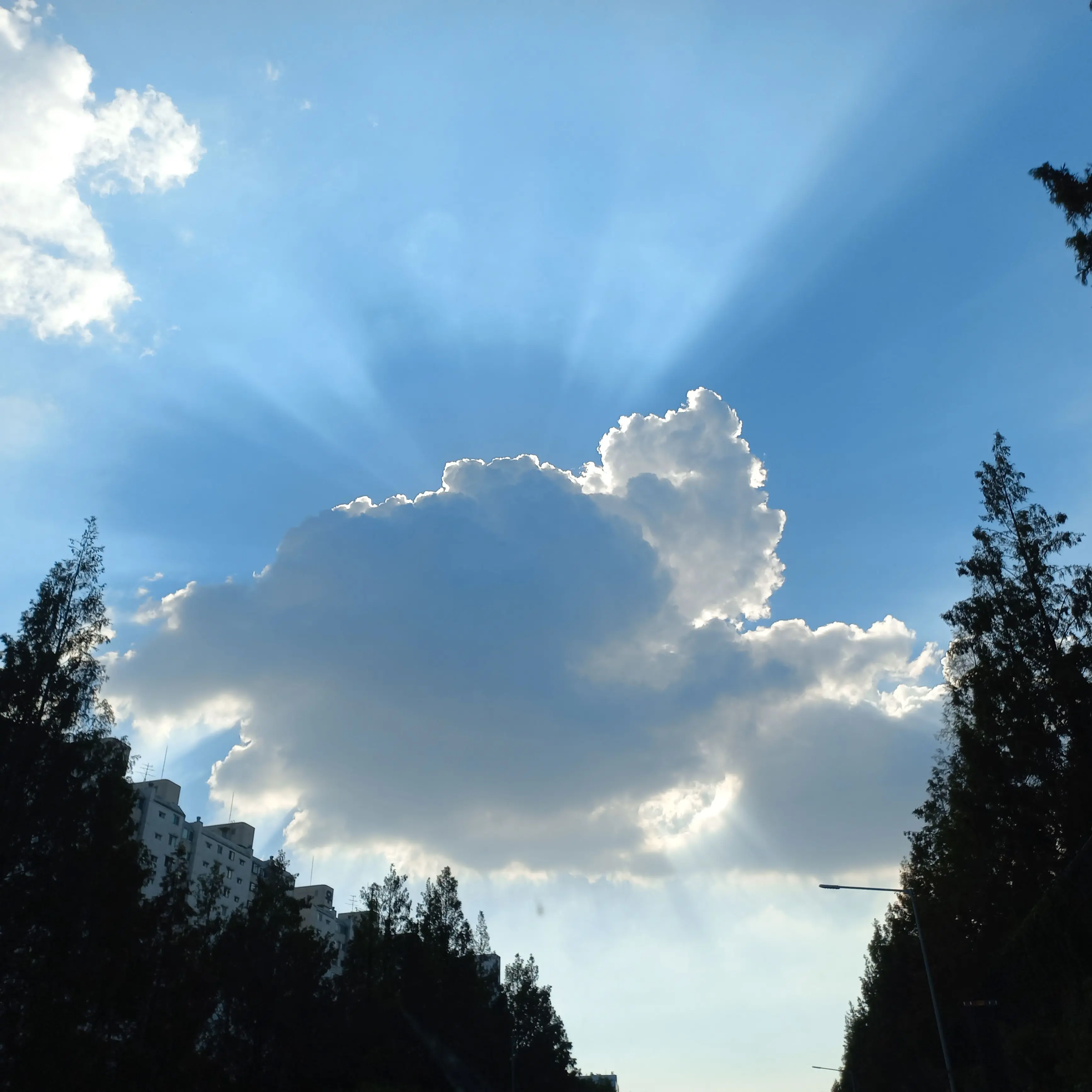 TrueDrill2886의 장규진