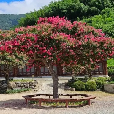 Profile image of 미스터 벨