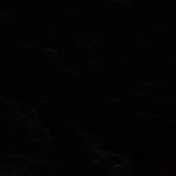 Profile image of 한지성