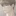 백도빈