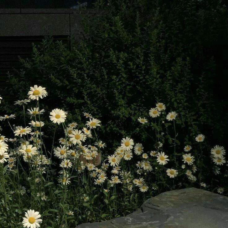 난 선생이다