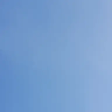 Profile image of 디노 키드