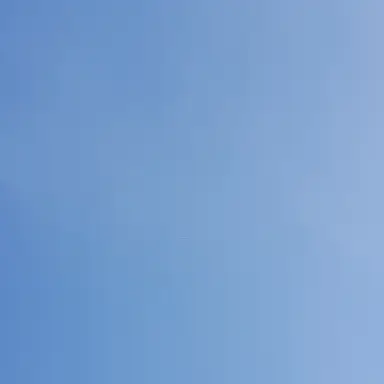 Profile image of 코알라 키드