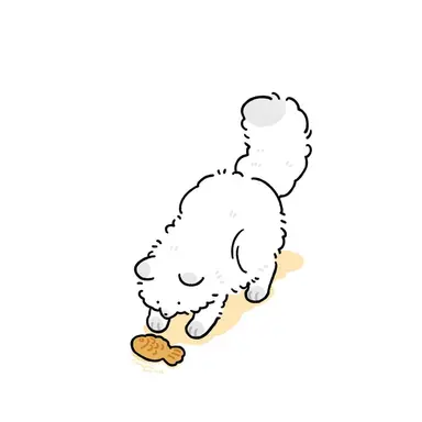 Profile image of 설탕