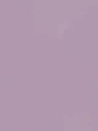 FlakyMint3382의 なんで…？