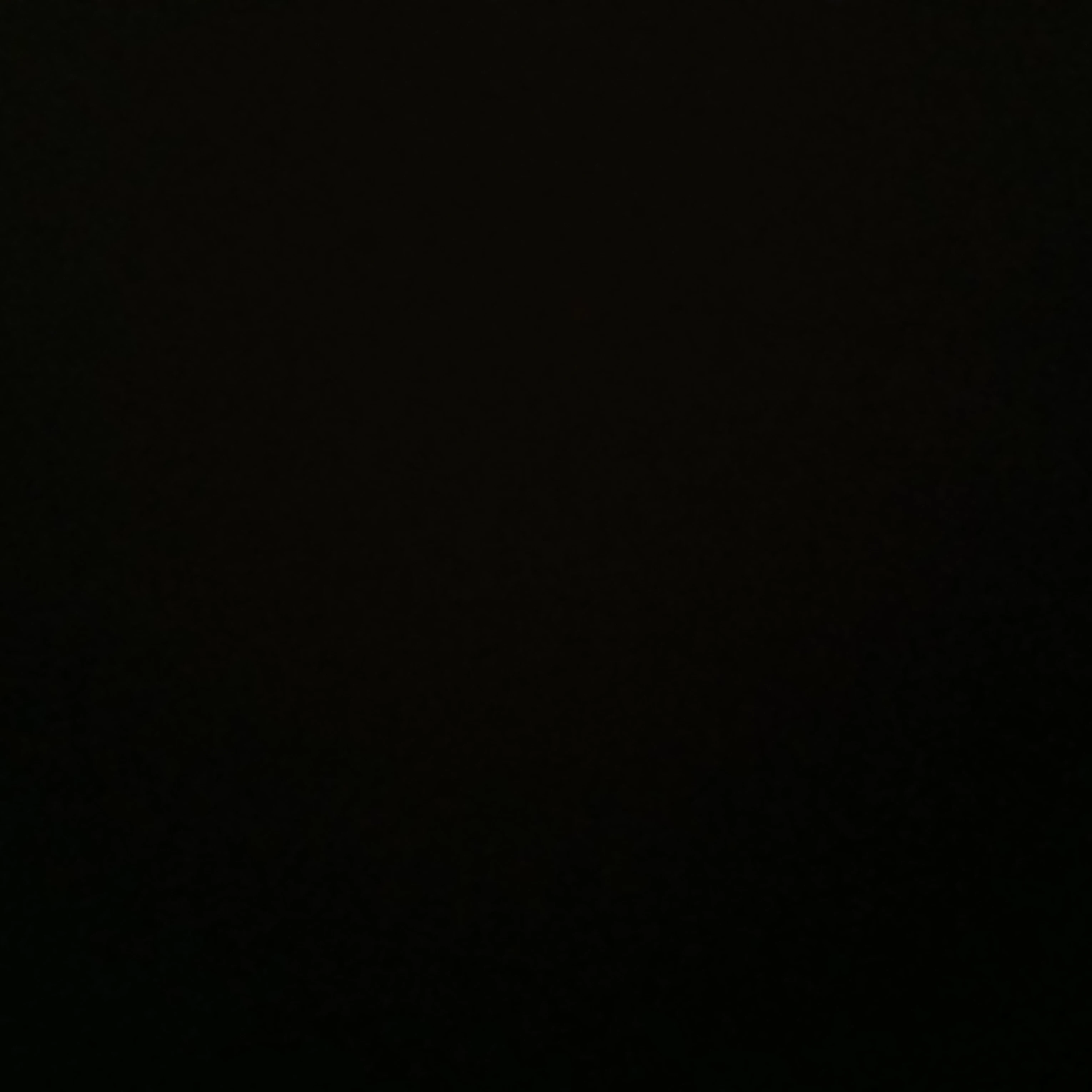 학교짱길들이기