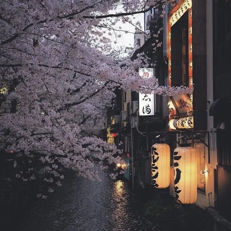 Vanilamilk의 不死川 和也