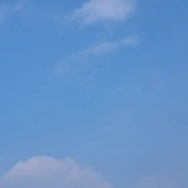 Profile image of 네프티스
