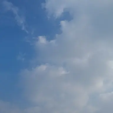 Profile image of 라
